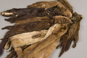 bundle of brown furs